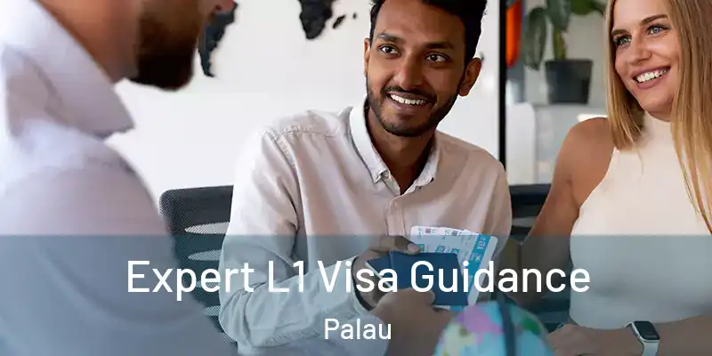  Expert L1 Visa Guidance Palau